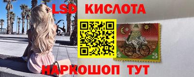 прущие грибы Тверь